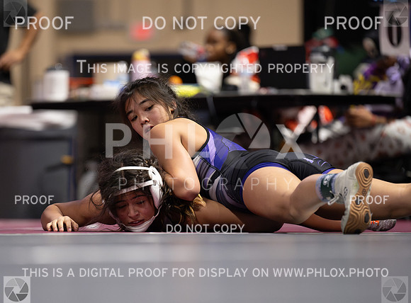 DLS_9173