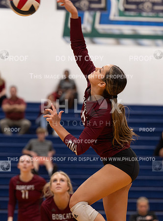 DLS_8228