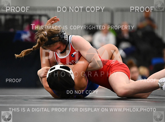 DLS_6830