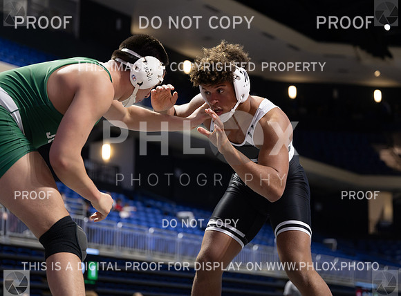 DLS_9815