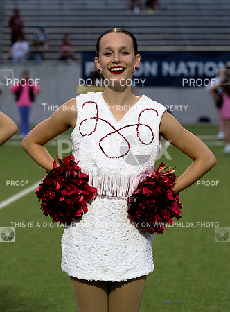 DLS_3075