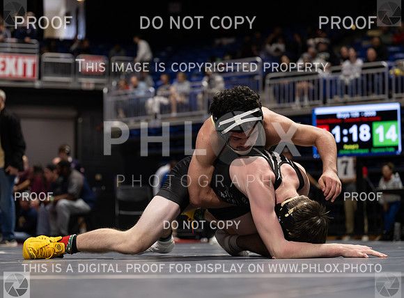 DLS_9090