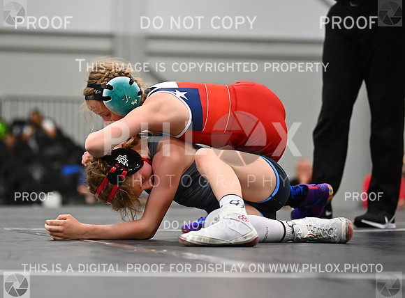 DLS_7542
