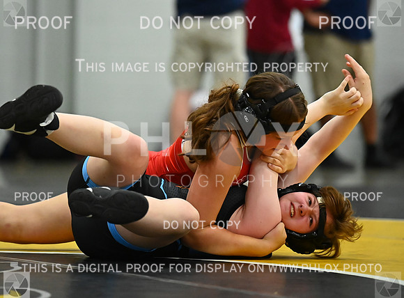 DLS_7950