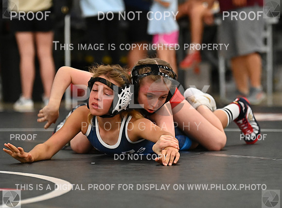 DLS_8883