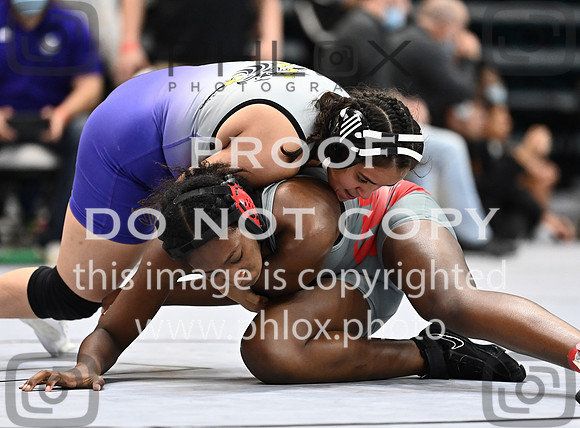 DLS_2718