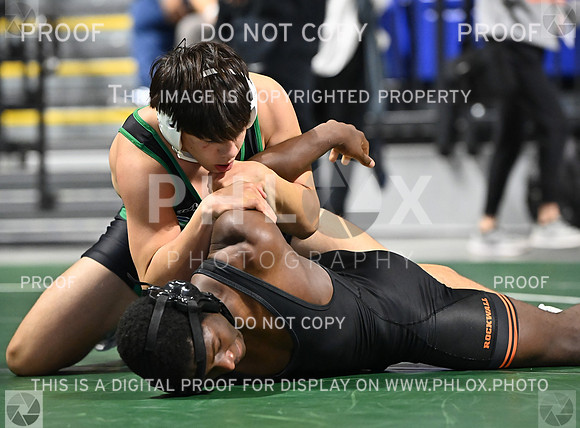 DLS_9988