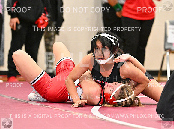 DLS_8622