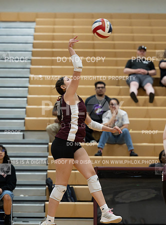 DLS_7355