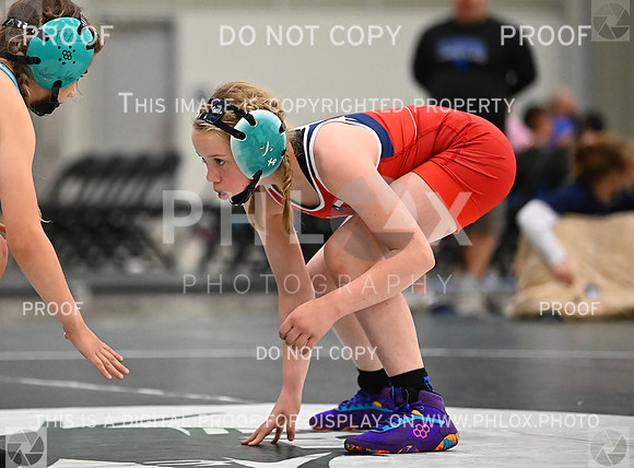 DLS_8018