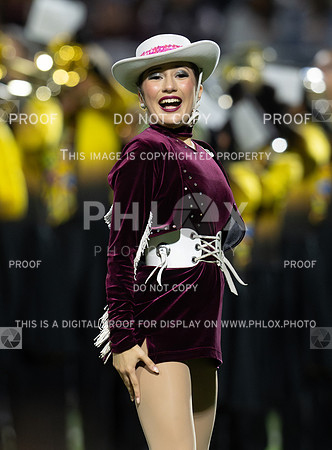 DLS_5228
