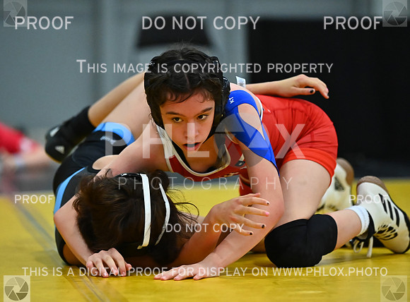 DLS_7742