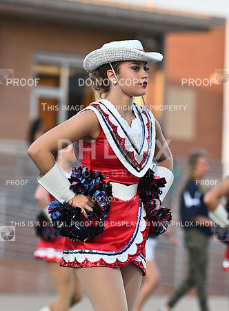 DLS_5867