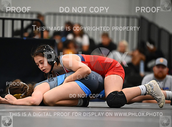 DLS_7355