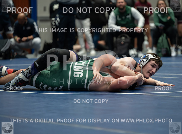 DLS_6439