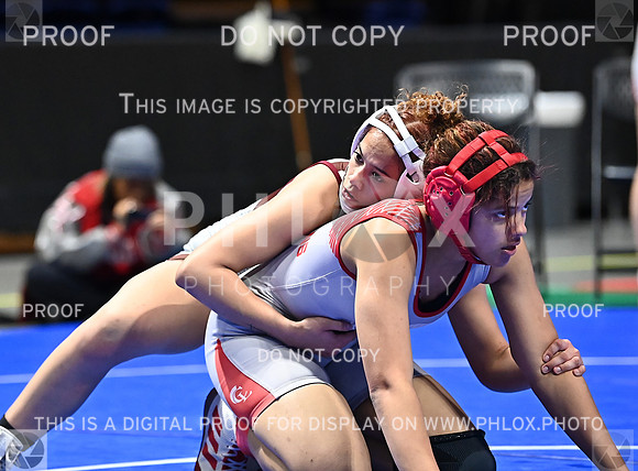 DLS_6098