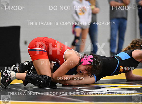 DLS_7848