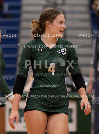 DLS_8163
