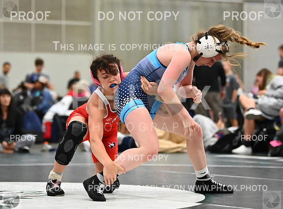 DLS_8119