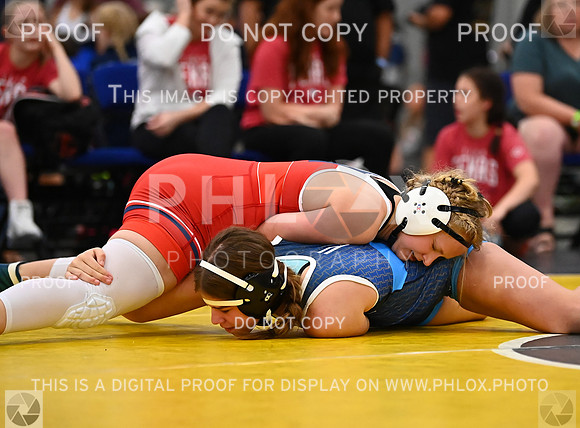 DLS_7085