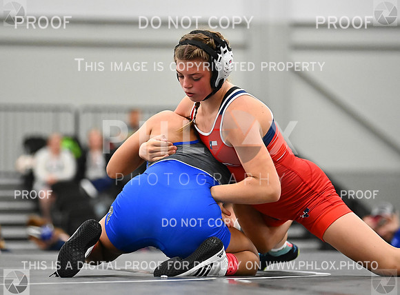 DLS_6647