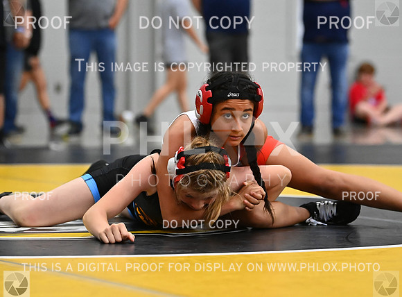 DLS_7781