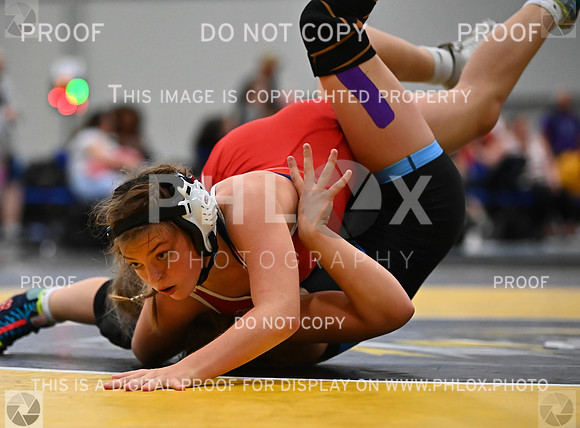 DLS_7640
