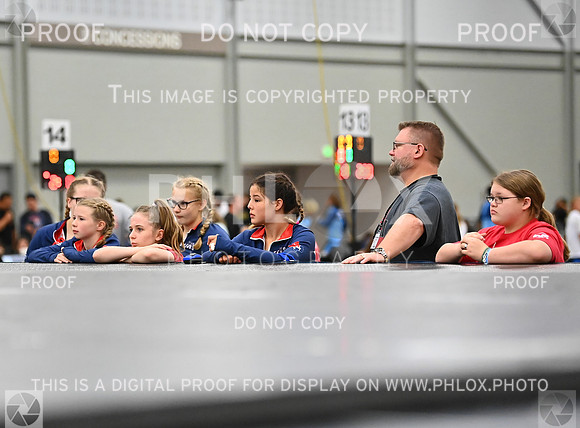 DLS_6603