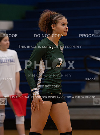 DLS_8038
