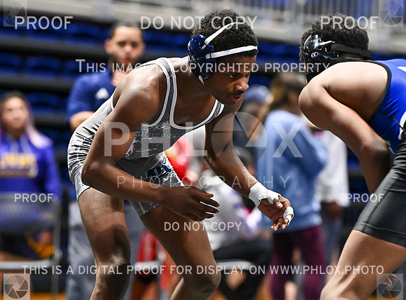 DLS_6936