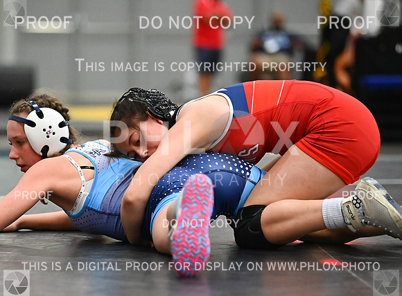 DLS_8173
