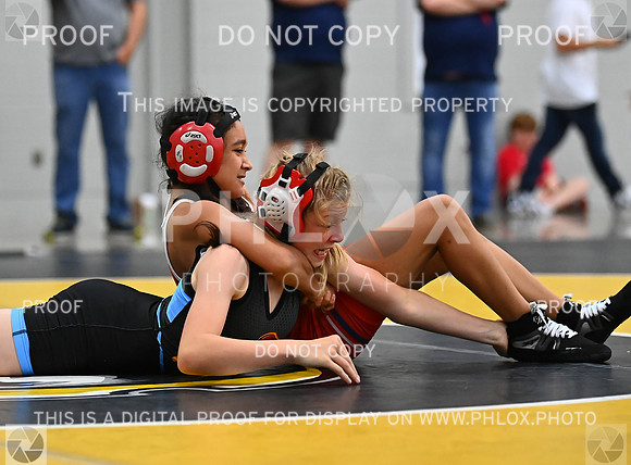 DLS_7776