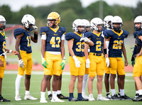 CAR_001155