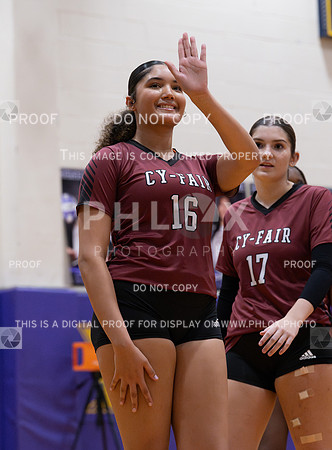 DLS_0677