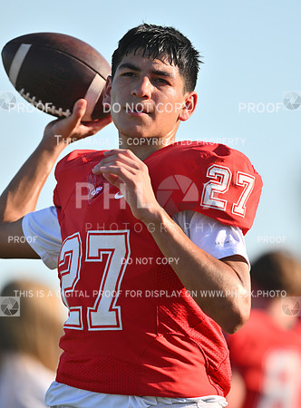 DLS_0697