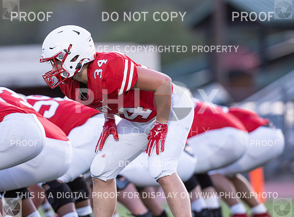 DLS_1488