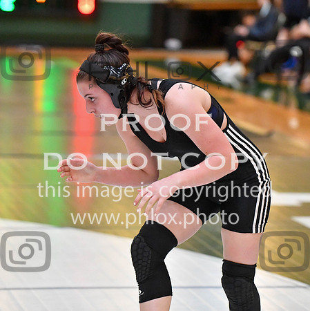 RAY_0353