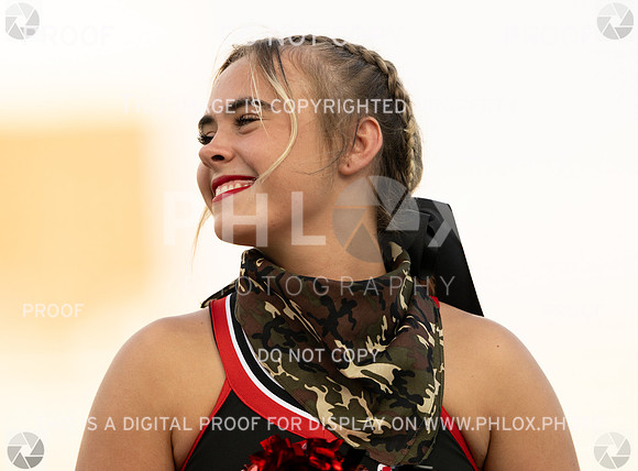 DLS_2035