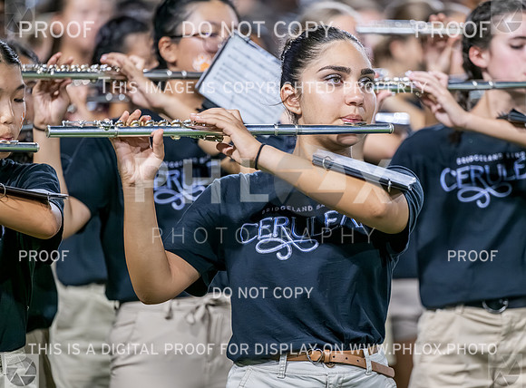 PSZ_201923
