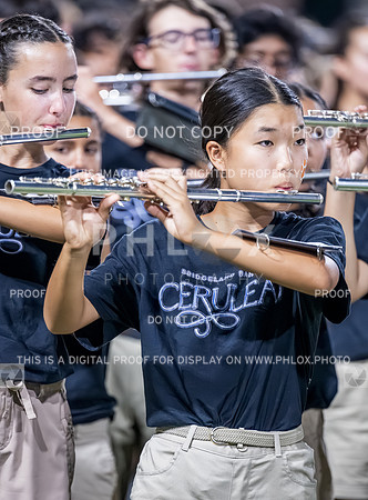 PSZ_201928