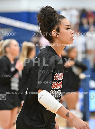 FS9_8677