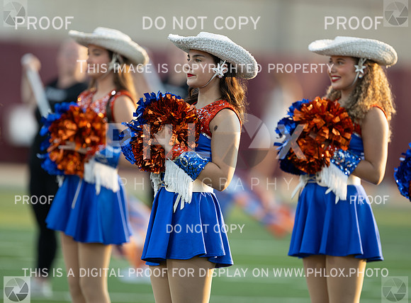DLS_4954