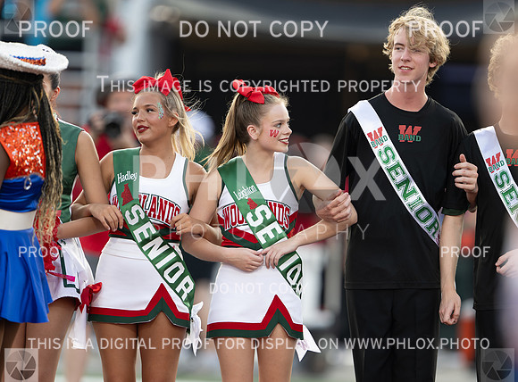 DLS_4960