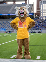PSZ_184050