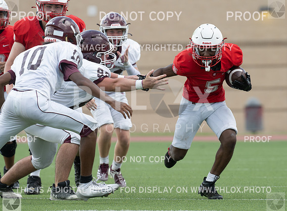 DLS_7512