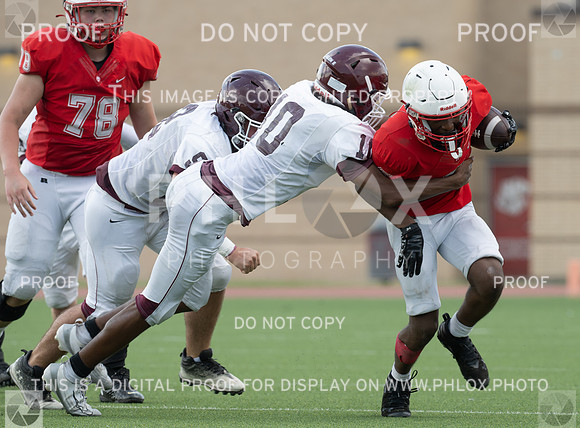 DLS_7514