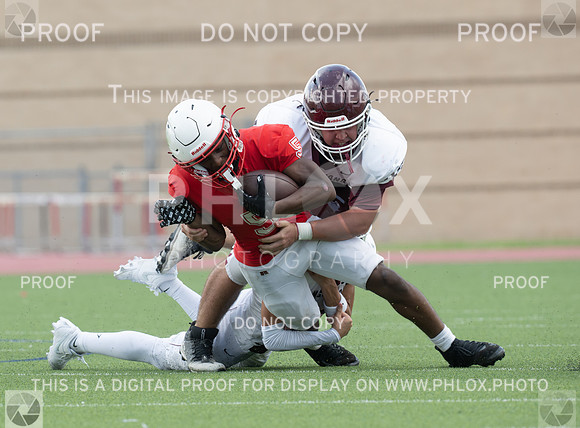 DLS_7503