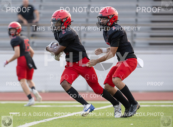 DLS_0056