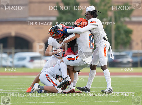 DLS_0096