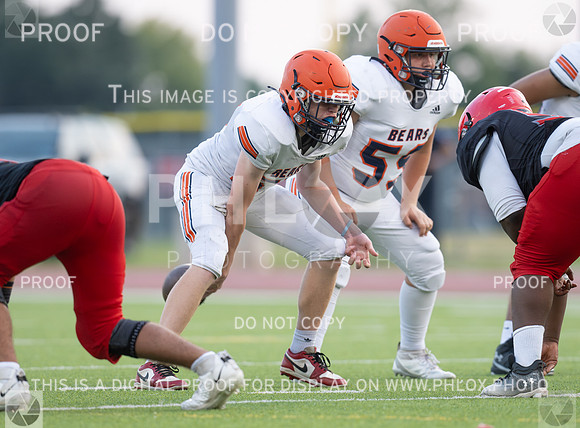 DLS_0151
